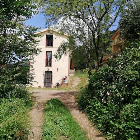 Stellaria Casa Vacanze In Montagna Panorama Stupendo Sardegna Seùlo Dış mekan fotoğraf