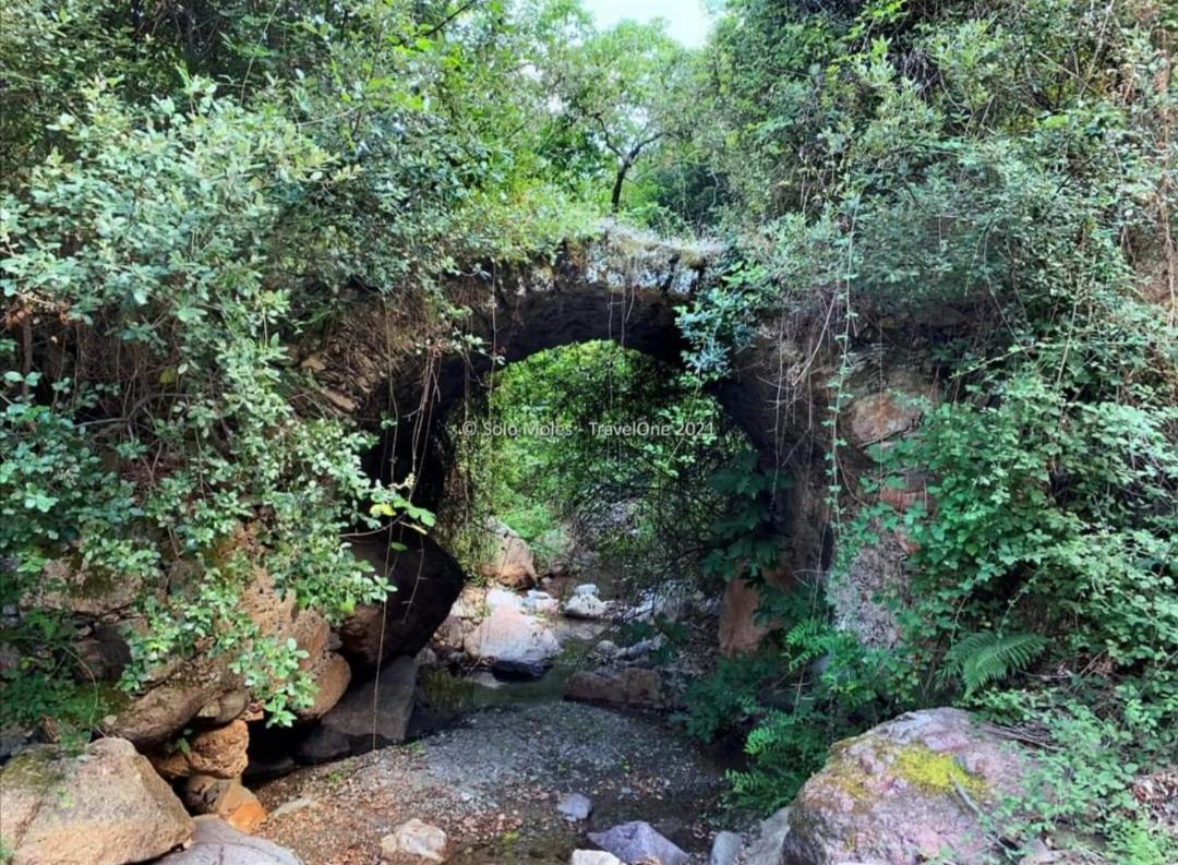 Stellaria Casa Vacanze In Montagna Panorama Stupendo Sardegna Seùlo Dış mekan fotoğraf