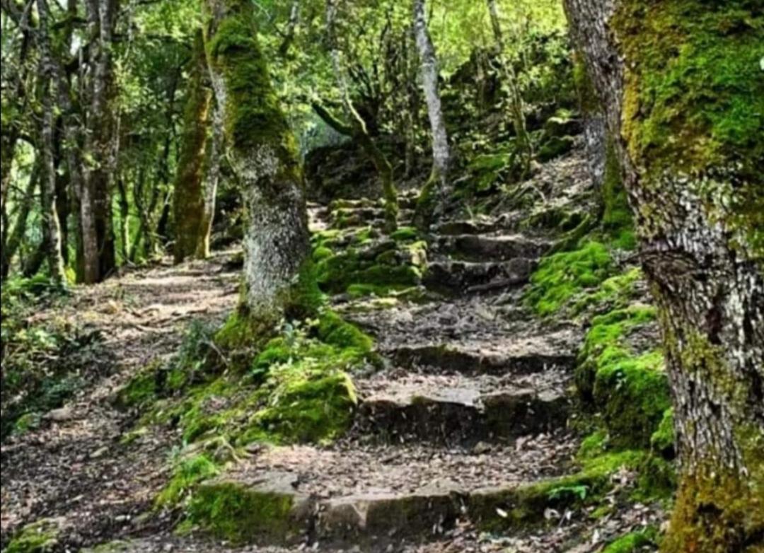 Stellaria Casa Vacanze In Montagna Panorama Stupendo Sardegna Seùlo Dış mekan fotoğraf