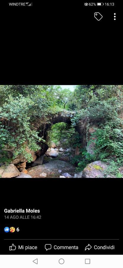 Stellaria Casa Vacanze In Montagna Panorama Stupendo Sardegna Seùlo Dış mekan fotoğraf