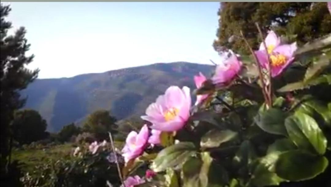 Stellaria Casa Vacanze In Montagna Panorama Stupendo Sardegna Seùlo Dış mekan fotoğraf