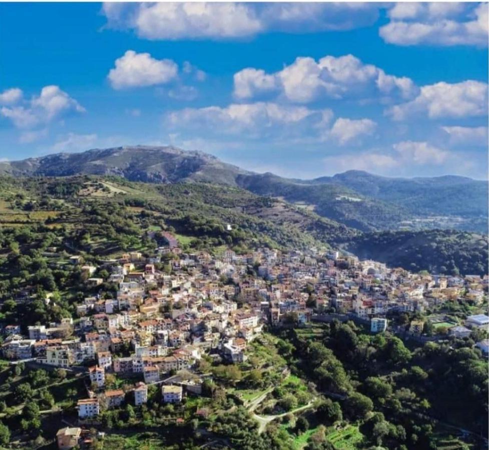 Stellaria Casa Vacanze In Montagna Panorama Stupendo Sardegna Seùlo Dış mekan fotoğraf