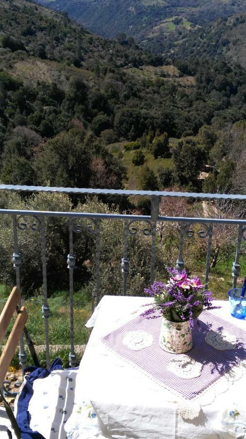 Stellaria Casa Vacanze In Montagna Panorama Stupendo Sardegna Seùlo Dış mekan fotoğraf