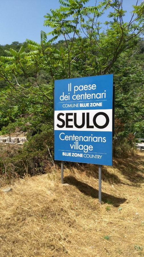 Stellaria Casa Vacanze In Montagna Panorama Stupendo Sardegna Seùlo Dış mekan fotoğraf