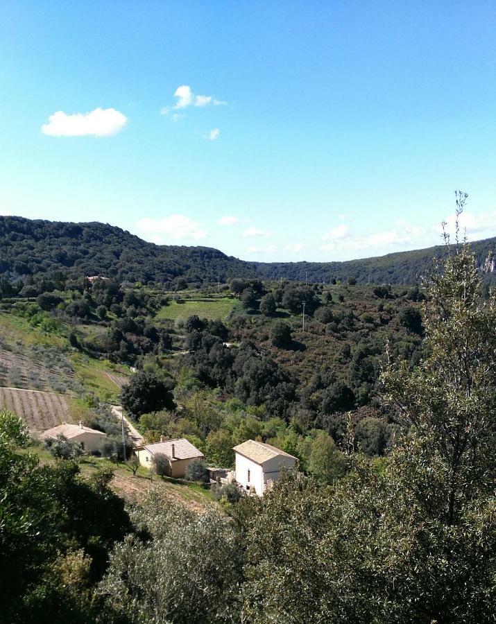Stellaria Casa Vacanze In Montagna Panorama Stupendo Sardegna Seùlo Dış mekan fotoğraf