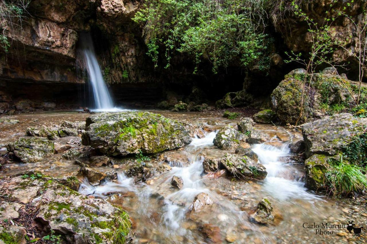 Stellaria Casa Vacanze In Montagna Panorama Stupendo Sardegna Seùlo Dış mekan fotoğraf