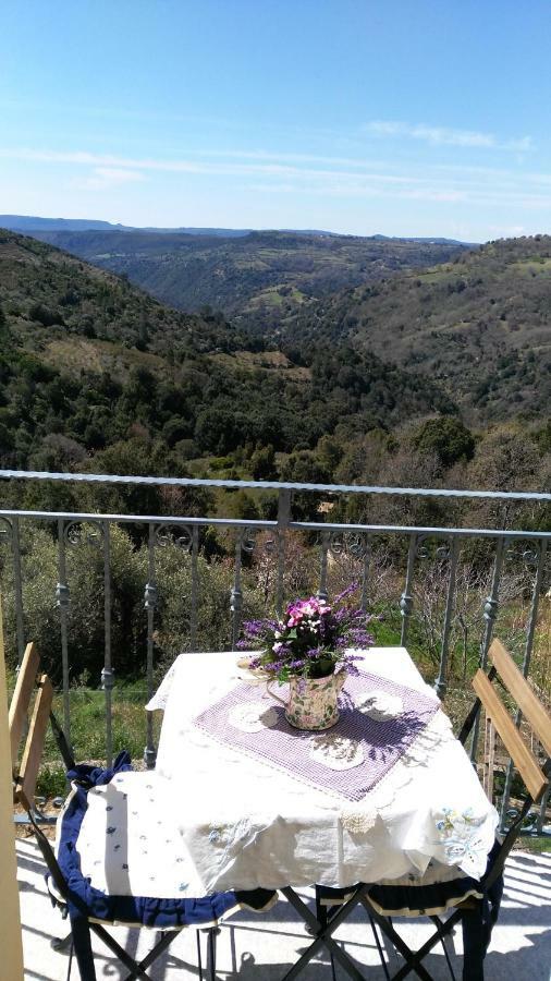 Stellaria Casa Vacanze In Montagna Panorama Stupendo Sardegna Seùlo Dış mekan fotoğraf