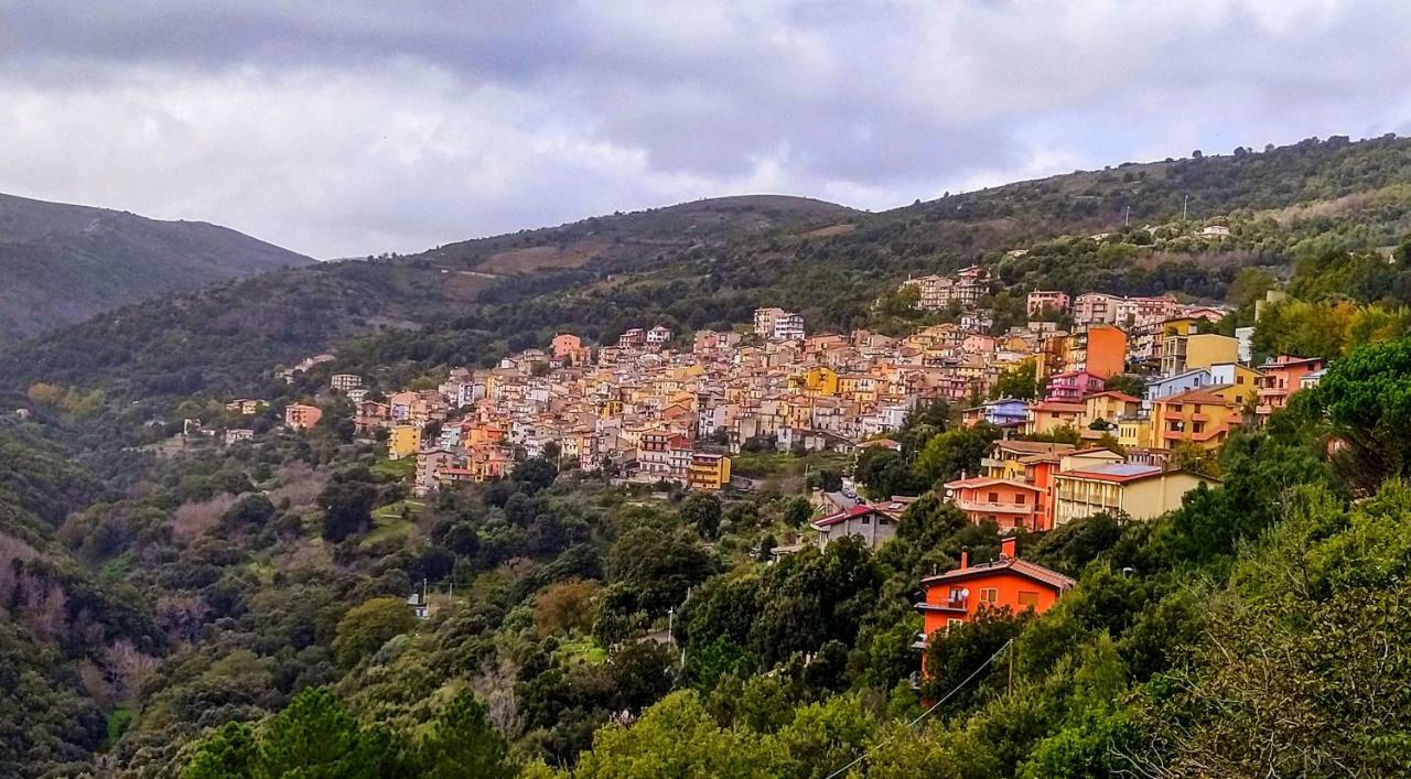 Stellaria Casa Vacanze In Montagna Panorama Stupendo Sardegna Seùlo Dış mekan fotoğraf