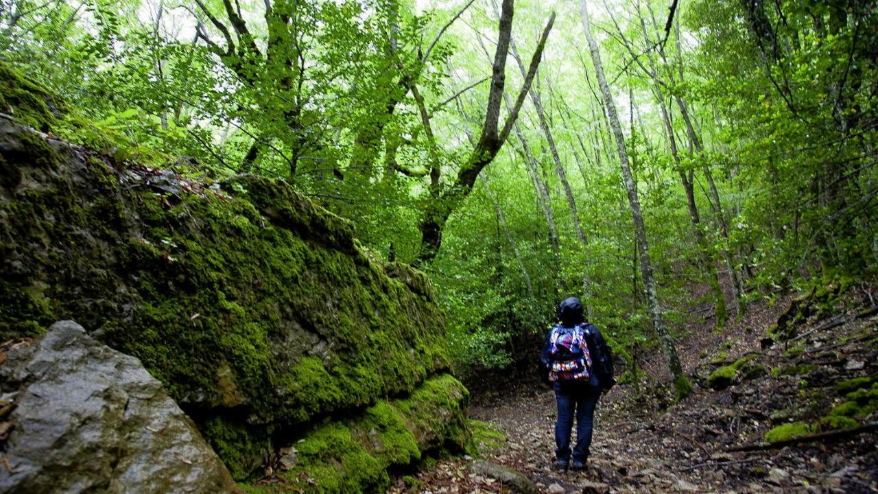 Stellaria Casa Vacanze In Montagna Panorama Stupendo Sardegna Seùlo Dış mekan fotoğraf