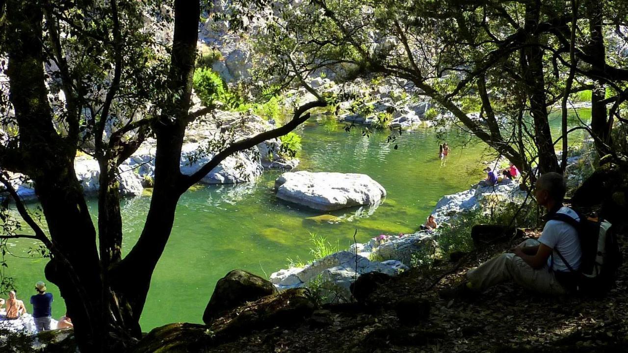 Stellaria Casa Vacanze In Montagna Panorama Stupendo Sardegna Seùlo Dış mekan fotoğraf